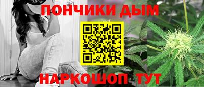 сатива Заводоуковск