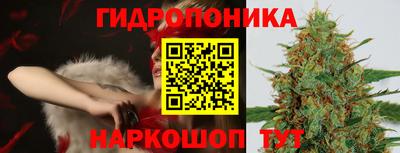 сатива Заводоуковск